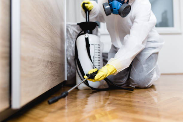 Best Pest Control for Restaurants  in Wallace, FL