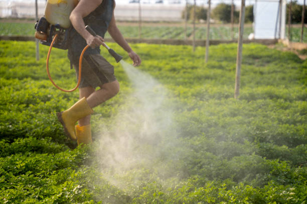 Pest Control for Restaurants in Wallace, FL