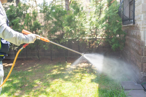 Best Termite Control Services  in Wallace, FL